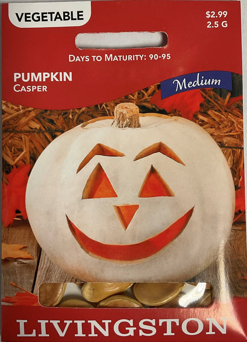 PUMPKIN - CASPER