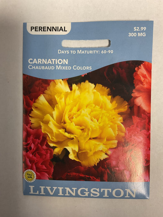 CARNATION CHAUBAUD MIXED COLOR