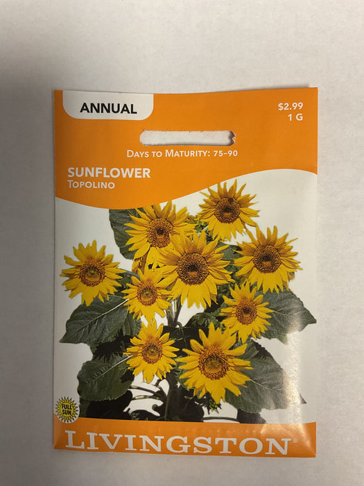 SUNFLOWER TOPOLINO 1G