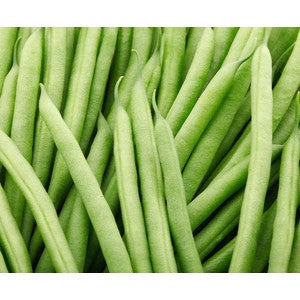 CONTENDER BUSH BEAN 1/4#