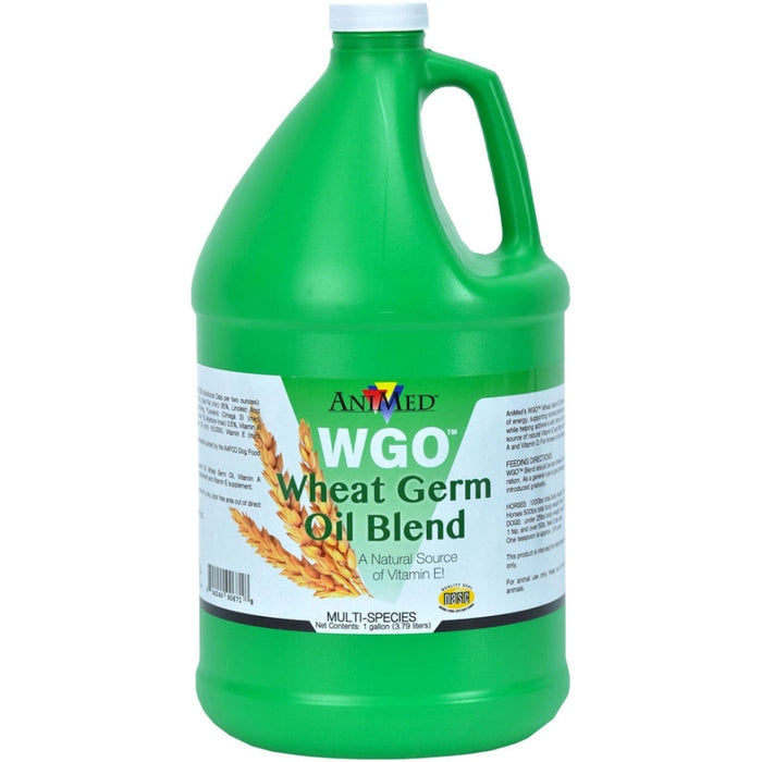 WHEAT GERM OIL GALLON