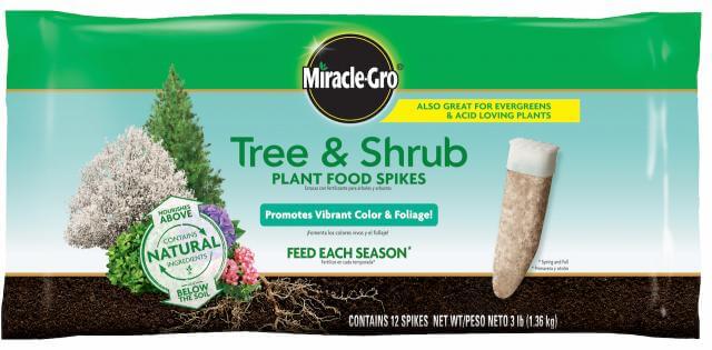MG-TREE/SHRUB SPIKES 12-PK
