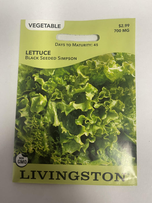 LETTUCE BLK SEEDED SIMPSON