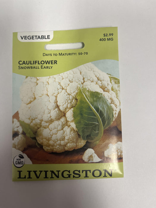 CAULIFLOWER SNOWBALL
