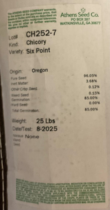SIX POINT CHICORY 25#
