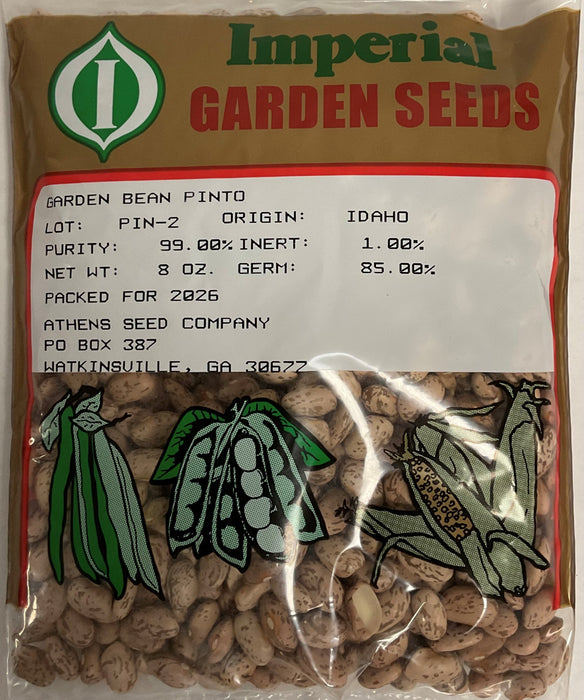 PINTO BEAN 1/2#