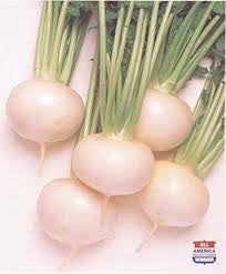 JUST RIGHT HYB TURNIP .25 OZ