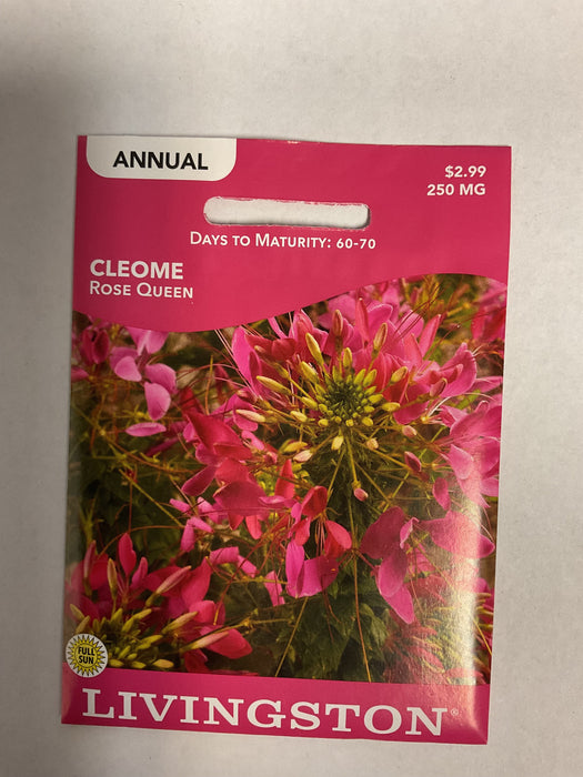 CLEOME ROSE QUEEN 250MG