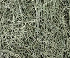 BLUE MOUNTAIN ORCHARD GRASS HAY