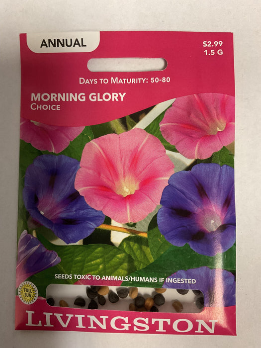 MORNING GLORY CHOICE 1.5G