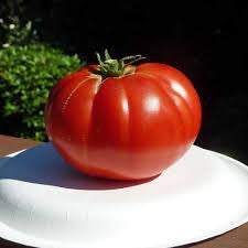 BEEFSTEAK TOMATO 1/2#