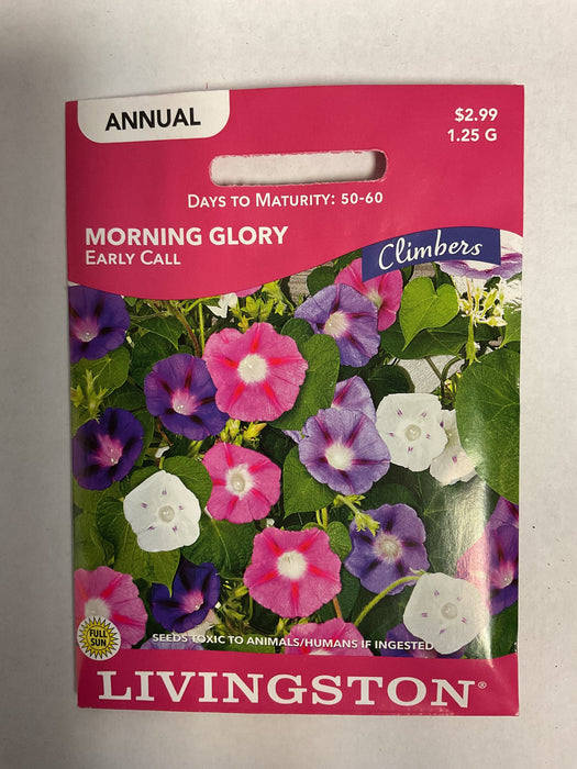 MORNING GLORY EARLY CALL 1.25G