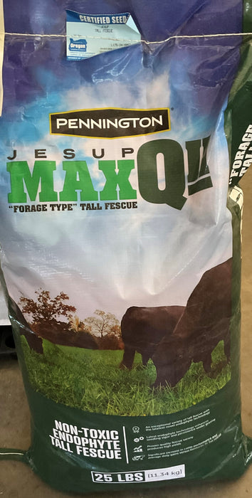 MAX Q FORAGE FESCUE 25LB
