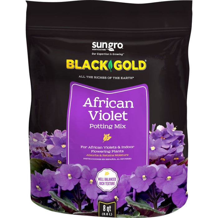BLACK GOLD AFRICAN VIOLET 8QT