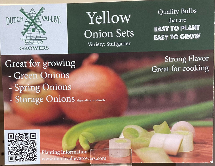 ONION-YELLOW 75-PK