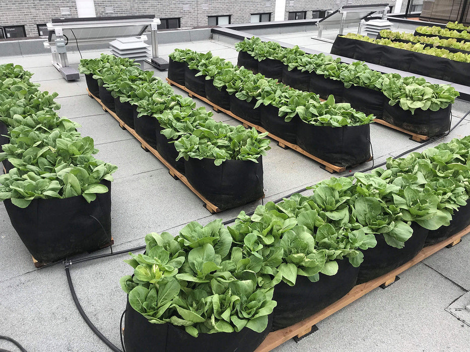 SMART POT RAISED BED 6FT LONG