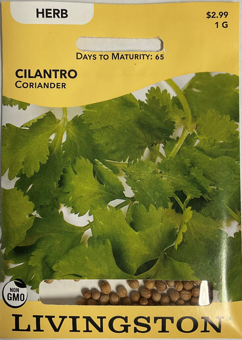 CILANTRO - CORIANDER