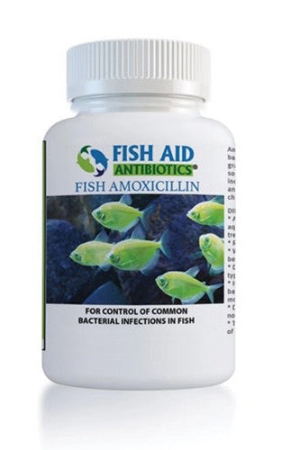 AQUA-MAX AMOXICILLIN 30CT