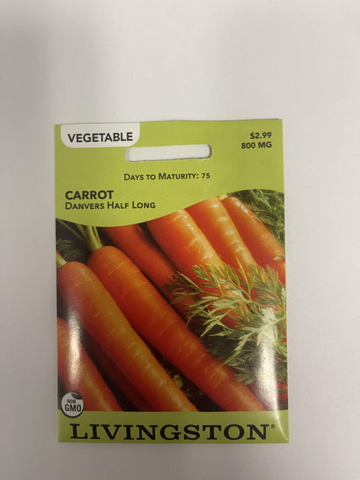 CARROT - DANVERS 1/2 LONG
