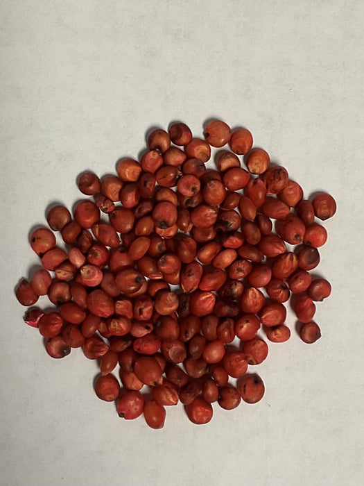DEFIANCE SORGHUM SUDAN APHID T