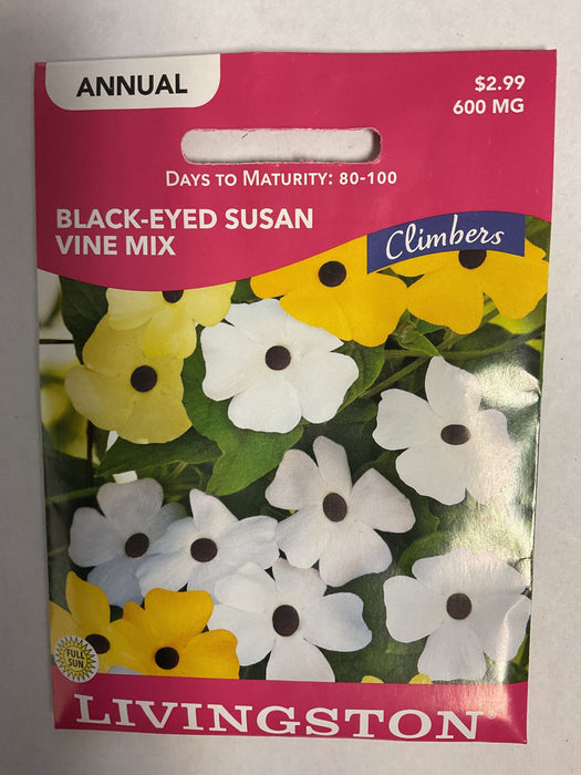 BLACK EYED SUSAN VINE MIX