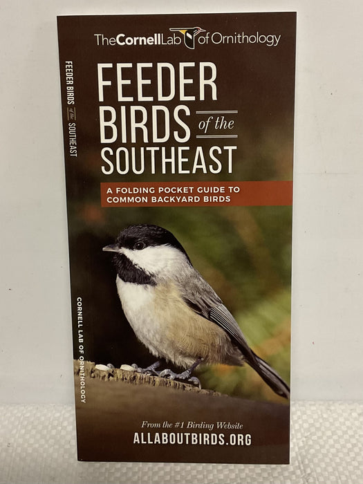 FEEDER BIRDS OF THE SOUTHEAST