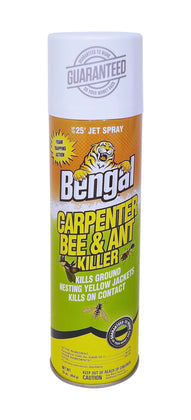 BENGAL CARPENTER BEE @ ANT 16O