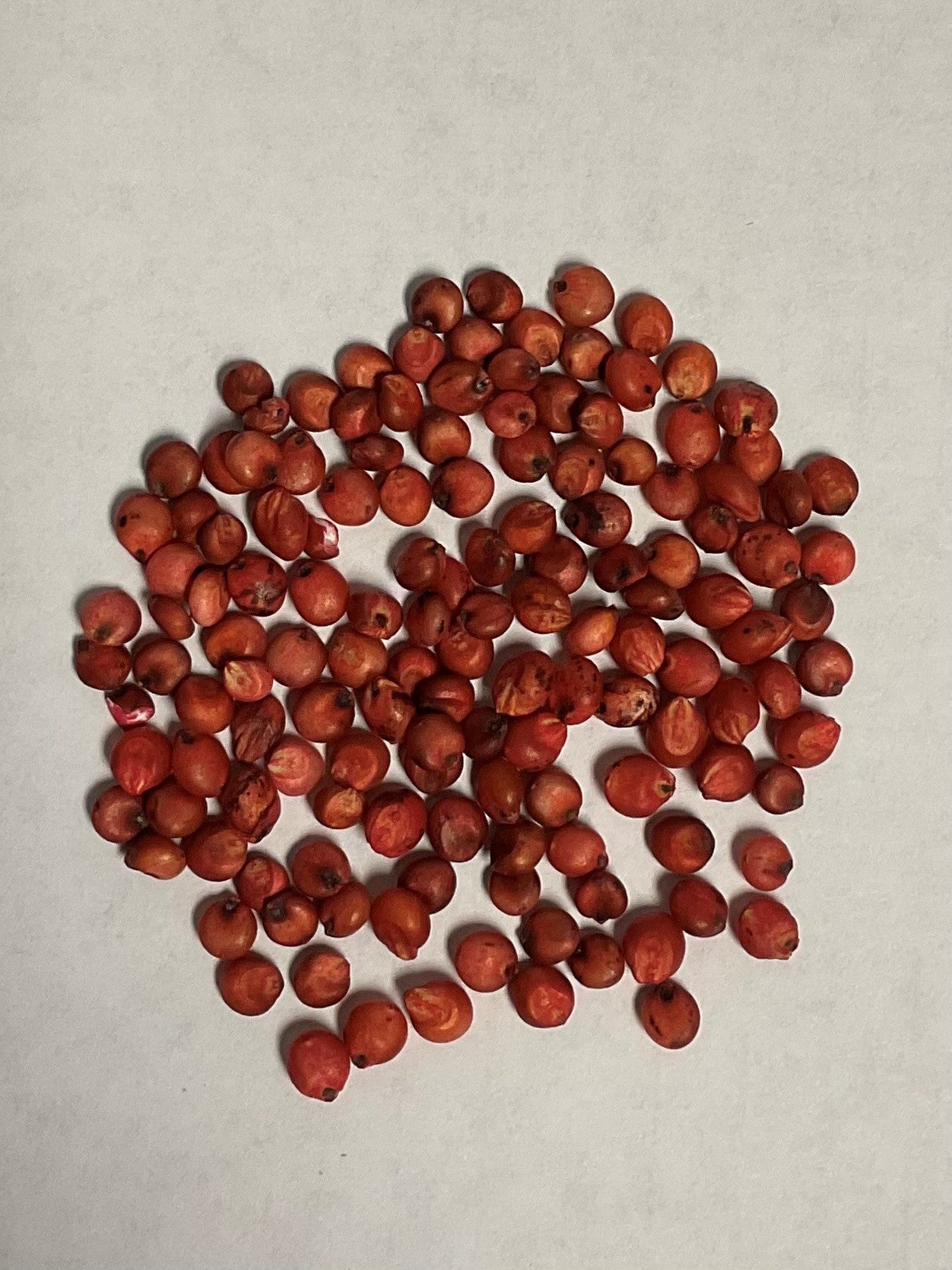 Field Seed Summer