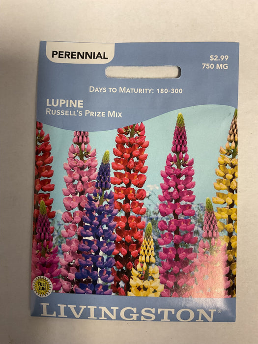 LUPINE RUSSELL'S PRIZE MIX