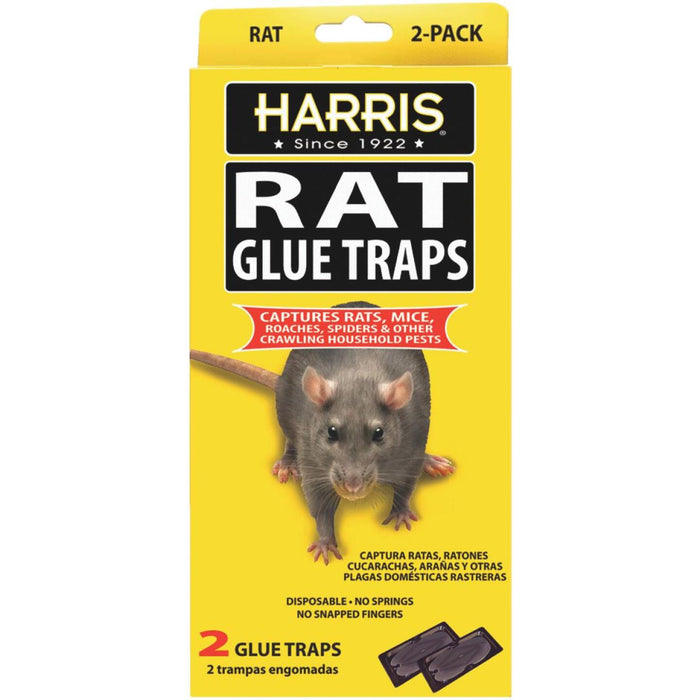HAR-RAT GLUE TRAPS 2-PK