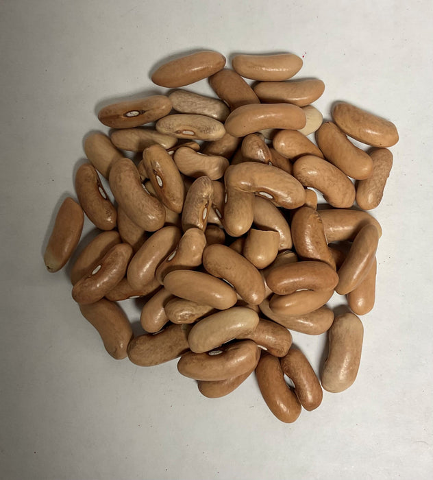CONTENDER BUSH BEAN 50#
