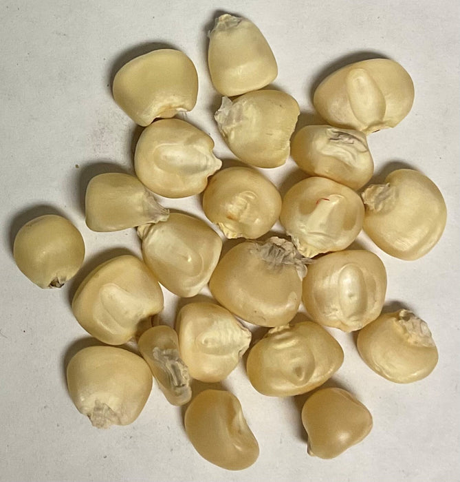 HICKORY KING CORN 1#