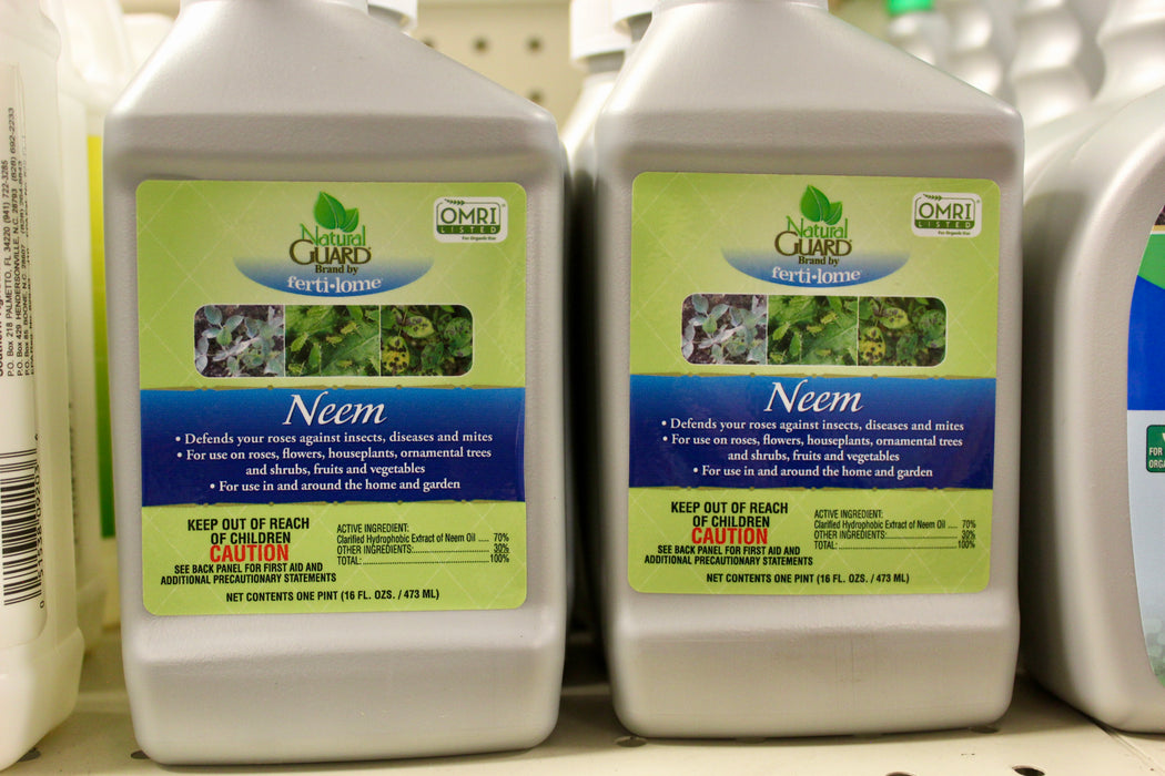 NG-NEEM PT