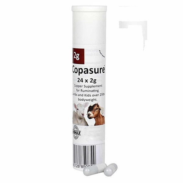 ANIMAX COPASURE GOAT 24 CAP