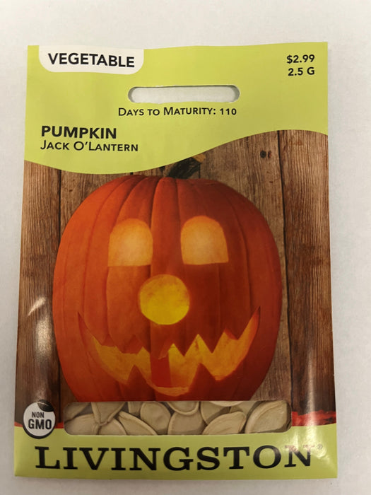 PUMPKIN - JACK O'LANTERN