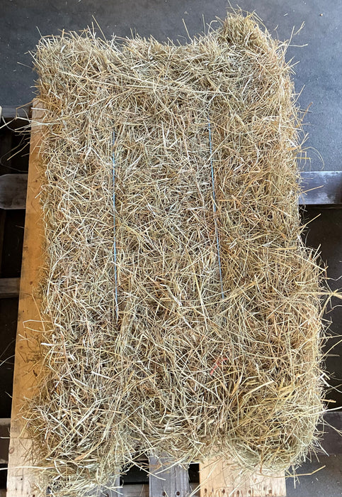 HAY-BERMUDA
