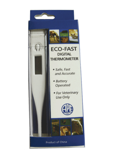 ECO-FAST DIGITAL THERMOMETER