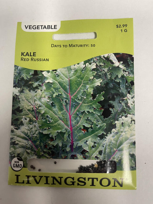 KALE RED RUSSIAN
