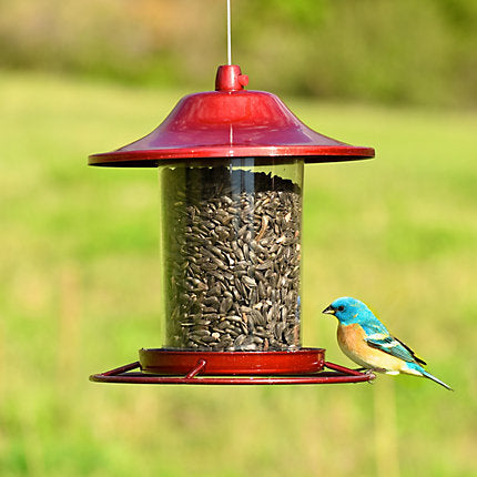 PERKY-PET312R SPARKLE PANORAMA