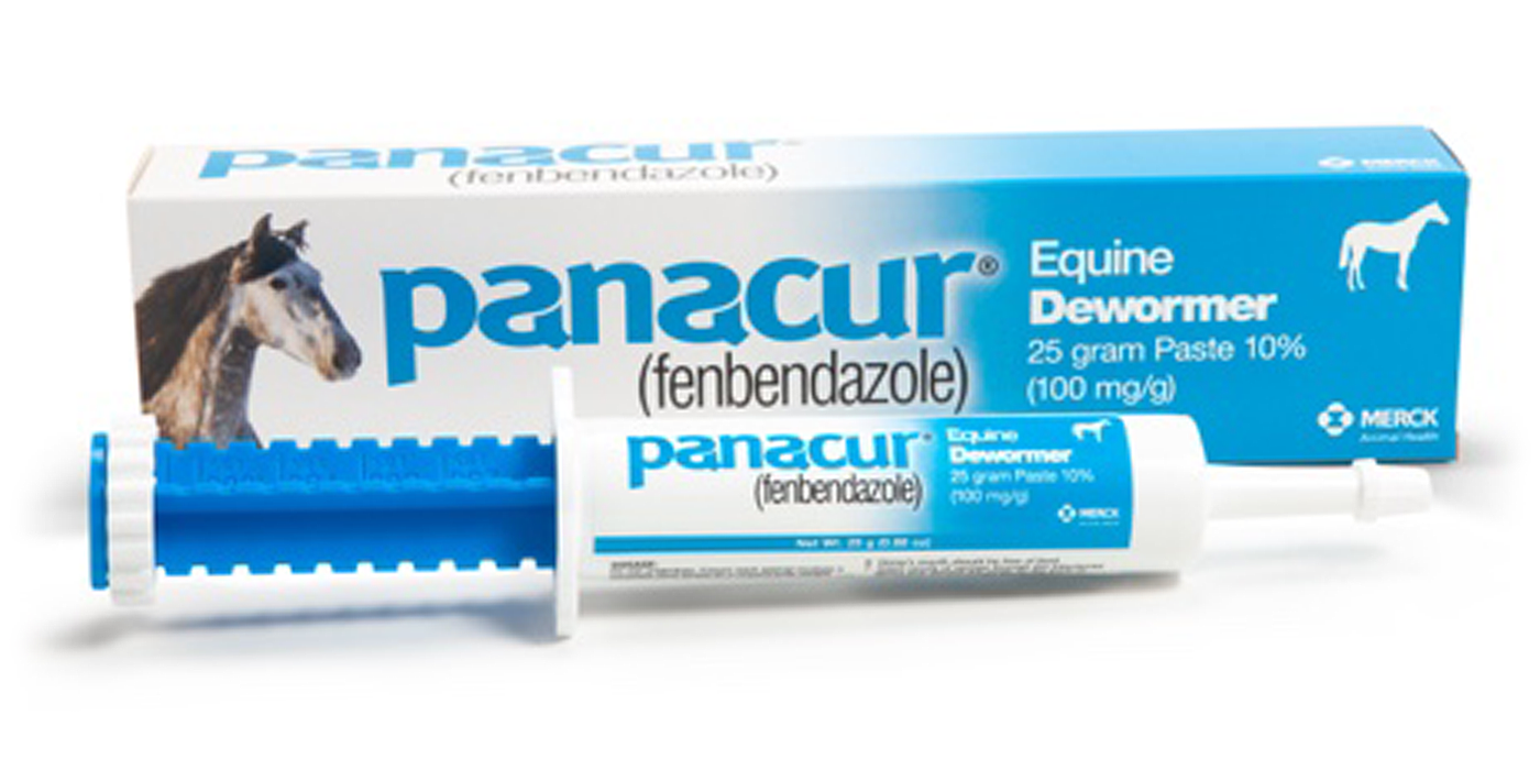 PANACUR HORSE DEWORMER 25G-10%