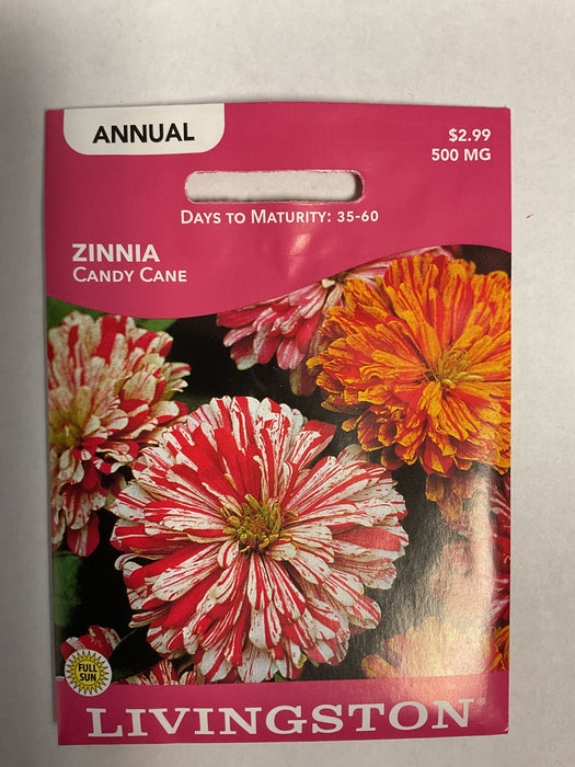 ZINNIA CANDY CANE 500MG