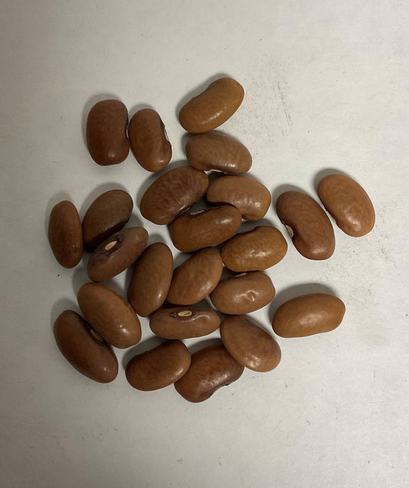 KY. WONDER POLE BEAN 5#