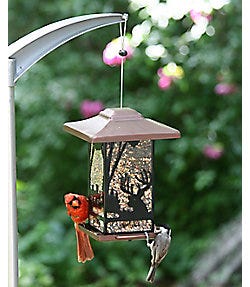 PP 8504 WILDERNESS LANTERN
