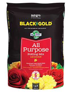 BLACK GOLD ALL PURPOSE 8QT