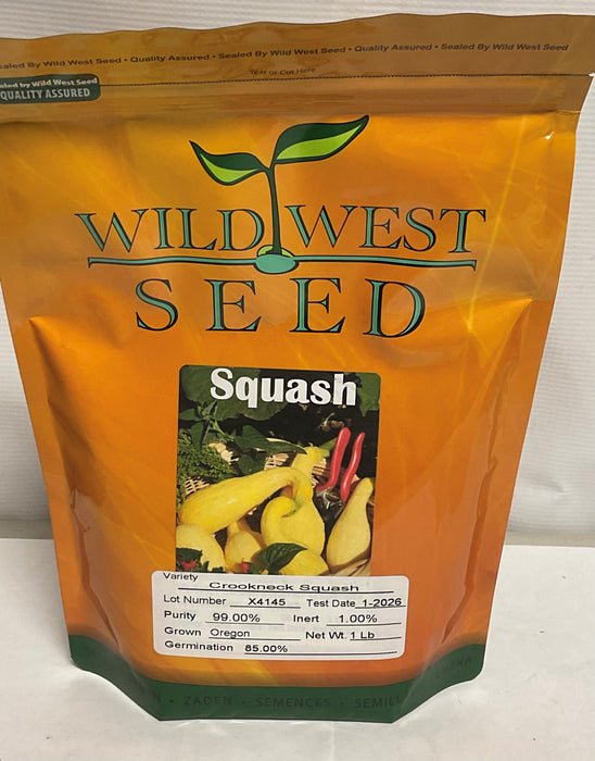 CROOKNECK SQUASH 1#