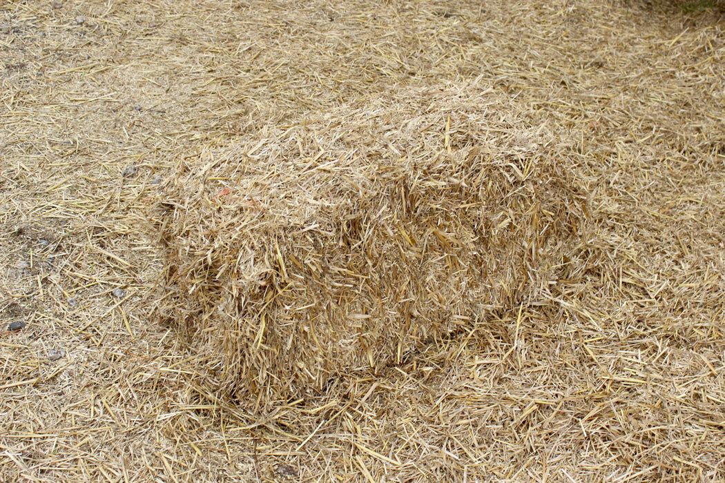 WHEATSTRAW