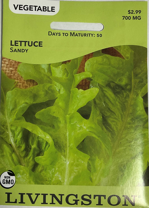 LETTUCE SANDY