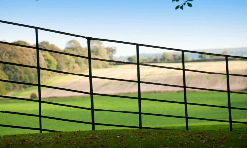 Check Out Our Gates & Posts