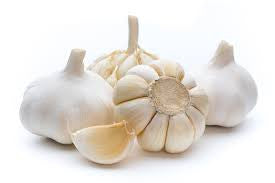 GARLIC-6.5#/ 50 BULB