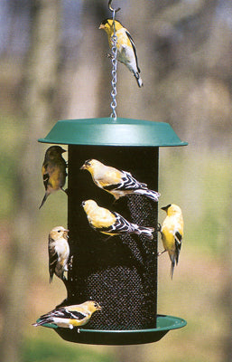 WOODLINK MAGNUM NYJER FEEDER